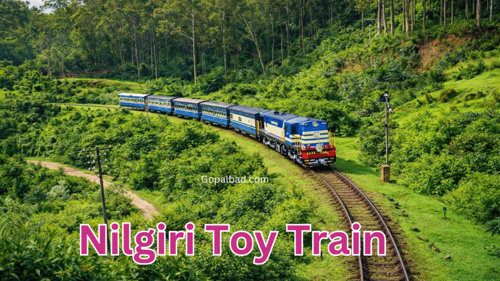 Nilgiri Toy Train