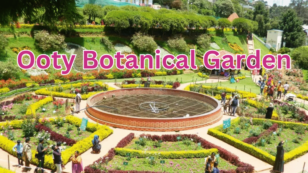 Ooty Botanical Garden